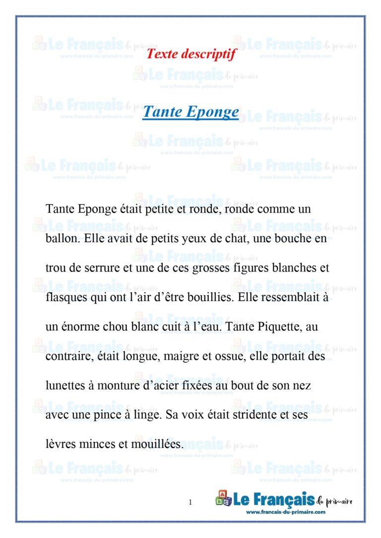 Texte descriptif Tante Eponge Le français du primaire