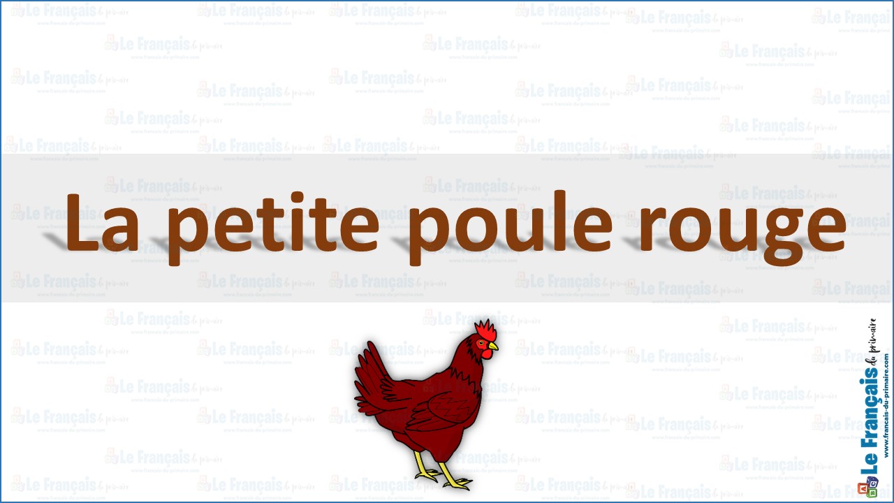 La petite poule rouge 