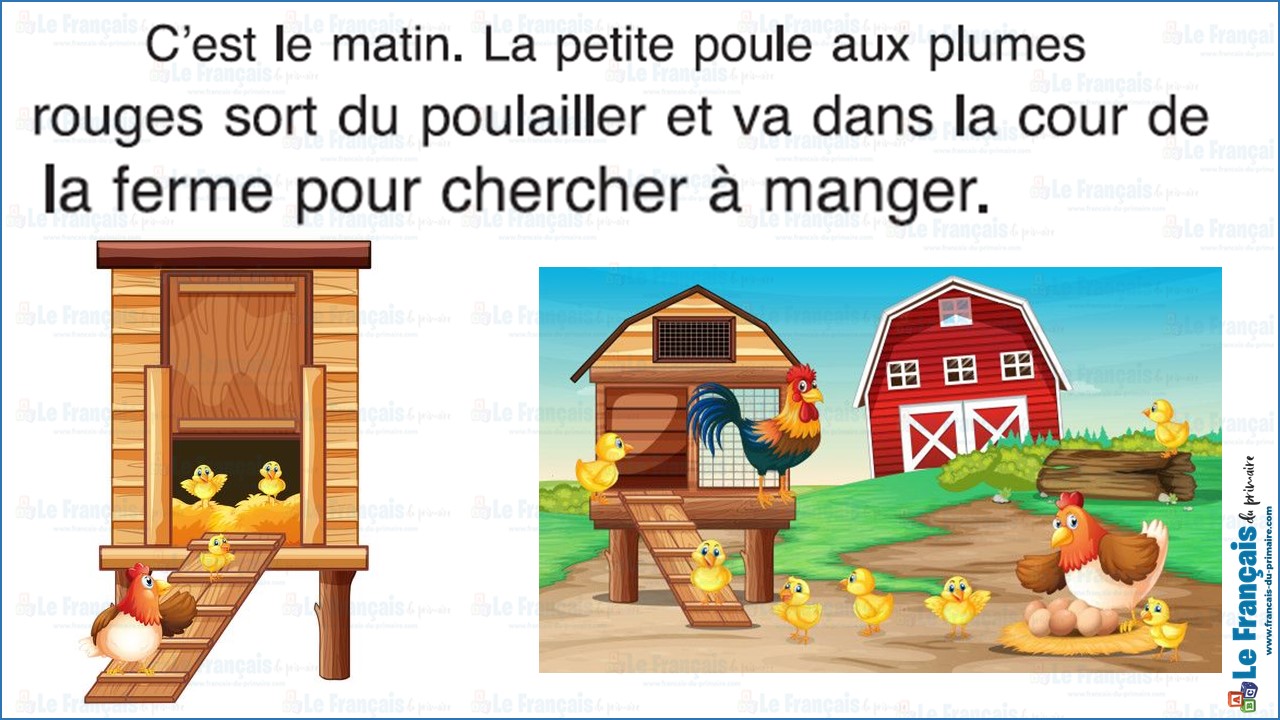 La petite poule rouge 