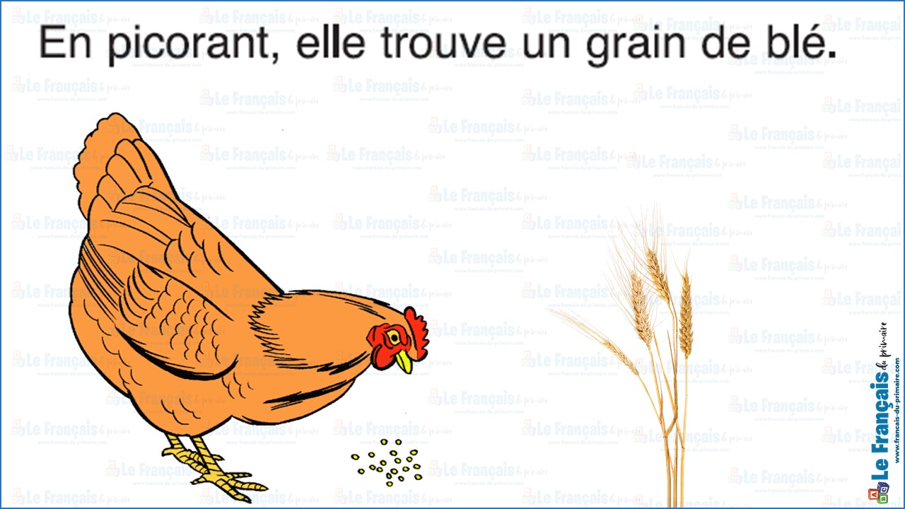 La petite poule rouge 