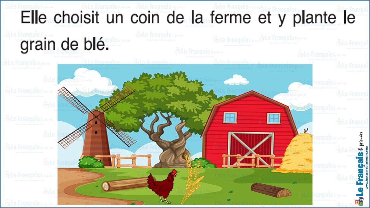 La petite poule rouge 