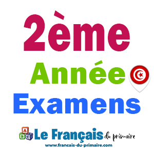 Examens 2ème année